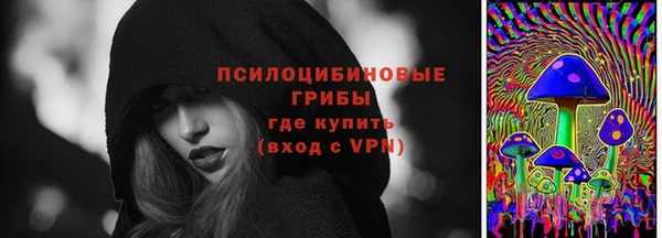 соль ск Козельск