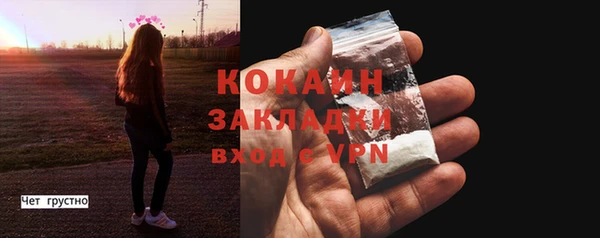 соль ск Козельск